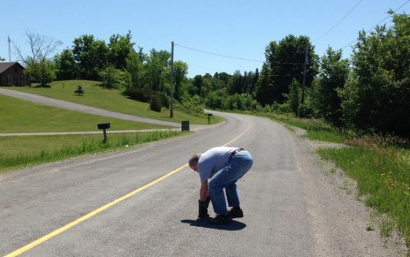 Helping a turtle on Barry Road